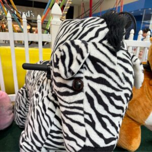ZEBRA RIDE