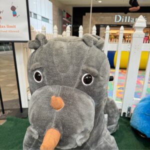 RHINO RIDE