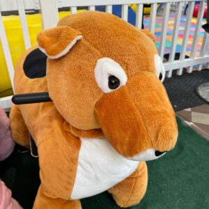 BEAR RIDE