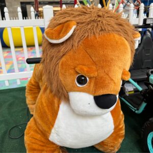 LION RIDE